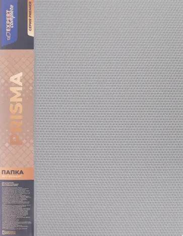 Папка на 2 кольцах Premier. Prisma, A4, серебряная обложка книги