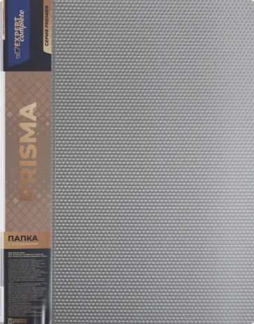 Папка с вкладышами Premier. Prisma, A4, 30 листов, серебряная обложка книги