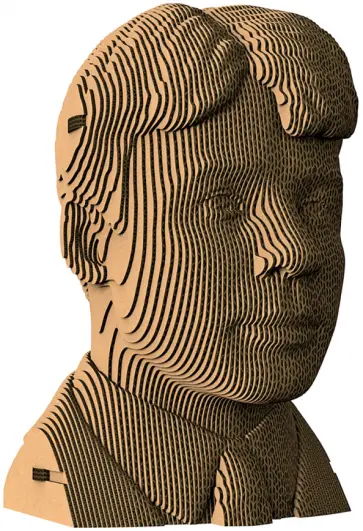 Бюст «Есенин» обложка книги