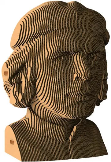 Бюст «ЧеГевара» обложка книги