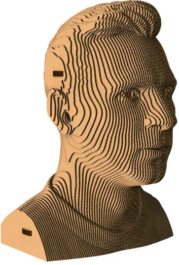 Бюст «Месси» обложка книги