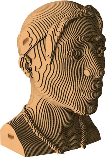 Бюст «Тупак Шакур» обложка книги