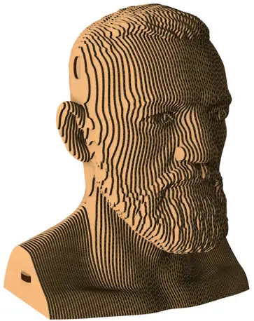 Бюст «Макгрегор» обложка книги