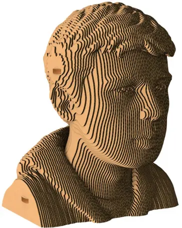 Бюст «Бодров» обложка книги