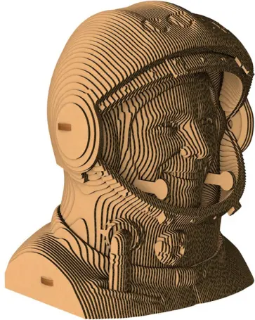 Бюст «Гагарин» обложка книги