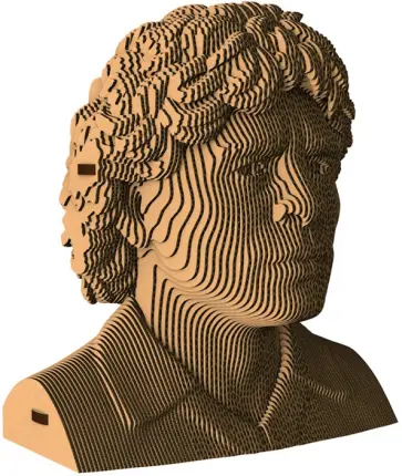 Бюст «Марадона» обложка книги