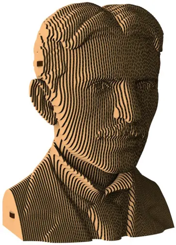 Бюст «Тесла» обложка книги