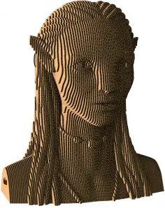 Бюст «Найтири» Бюст «Найтири» обложка книги