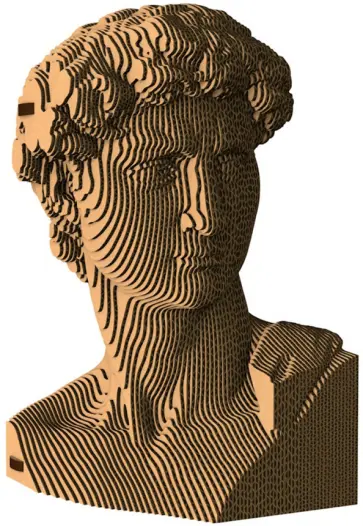 Бюст «Давид» обложка книги