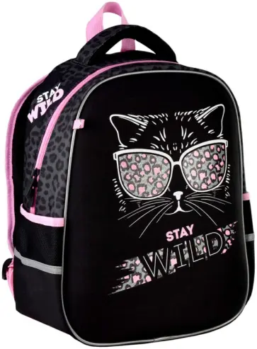 Ранец школьный Стильная киса обложка книги