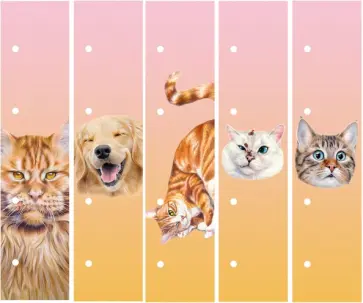 Закладки для тетрадей на кольцах Дизайн 5, 5 штук Закладки для тетрадей на кольцах Дизайн 5, 5 штук обложка книги