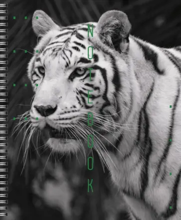 Тетрадь Дикие и прекрасные, 96 листов, клетка, в ассортименте обложка книги