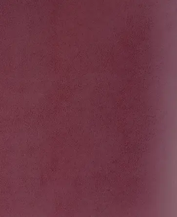 Тетрадь Бордовая, 48 листов, клетка обложка книги