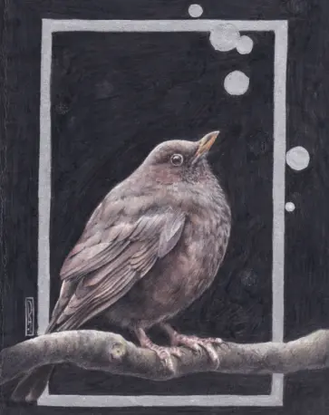 Евротетрадь Птица, А5+, 96 листов, линия обложка книги