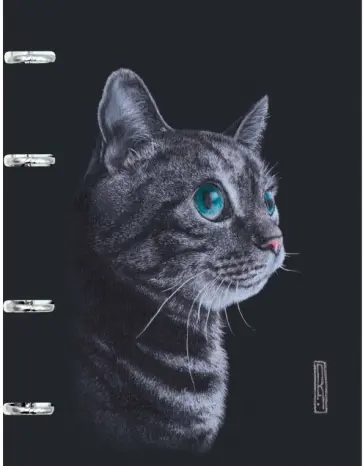 Тетрадь на кольцах Кошка, 120 листов, клетка Тетрадь на кольцах Кошка, 120 листов, клетка обложка книги
