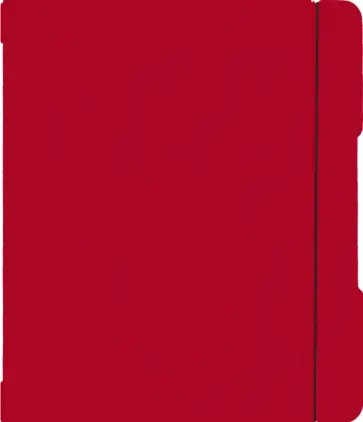Комплект из 2-х тетрадей DoubleBook. Красный, по 48 листов, клетка, линия Комплект из 2-х тетрадей DoubleBook. Красный, по 48 листов, клетка, линия обложка книги