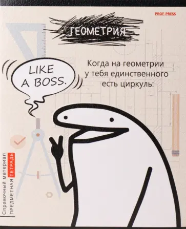 Тетрадь предметная Школьные мемасики. Геометрия, 48 листов, клетка обложка книги