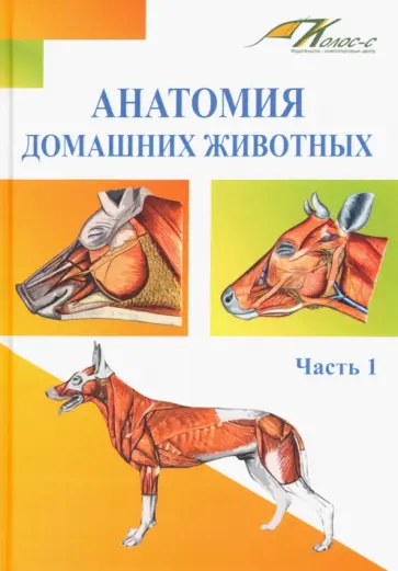Слесаренко, Баймишев - Анатомия домашних животных. Учебник. Часть 1 Слесаренко, Баймишев - Анатомия домашних животных. Учебник. Часть 1 обложка книги