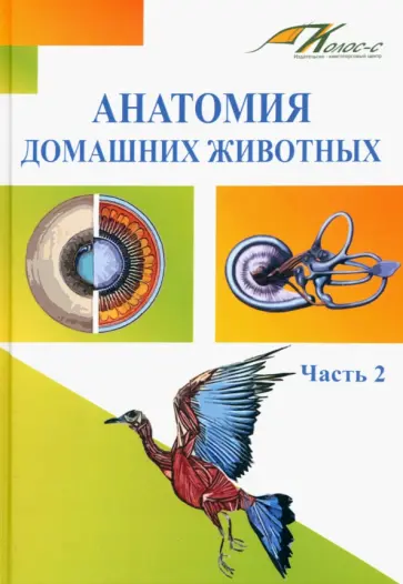 Слесаренко, Баймишев - Анатомия домашних животных. Учебник. Часть 2 Слесаренко, Баймишев - Анатомия домашних животных. Учебник. Часть 2 обложка книги