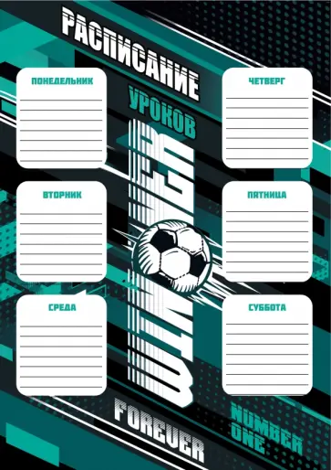 Расписание уроков Победитель, А4 обложка книги