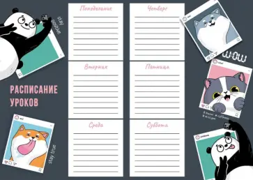 Расписание уроков Селфи-панда, А4 Расписание уроков Селфи-панда, А4 обложка книги