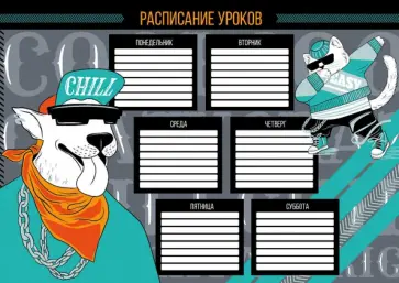 Расписание уроков Хип-хоп пати, А4 Расписание уроков Хип-хоп пати, А4 обложка книги