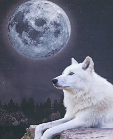 Алмазная мозаика со светящимися стразами Волк обложка книги