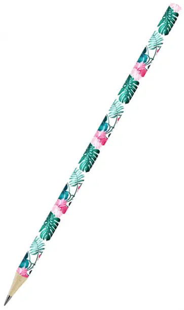 Карандаш чернографитный, заточенный Монстера, HB обложка книги