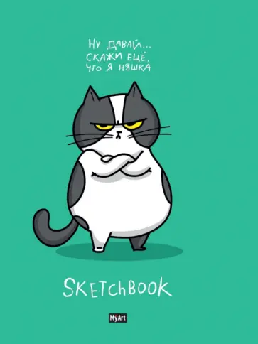 Cкетчбук В тренде. Кот обложка книги