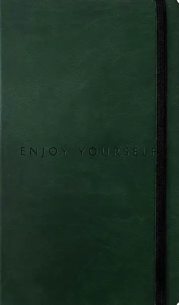 Ежедневник Aesthetic зеленый, В6+, 112 листов обложка книги