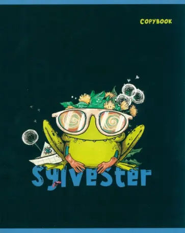 Тетрадь Сильвестр, 48 листов, клетка, в ассортименте обложка книги