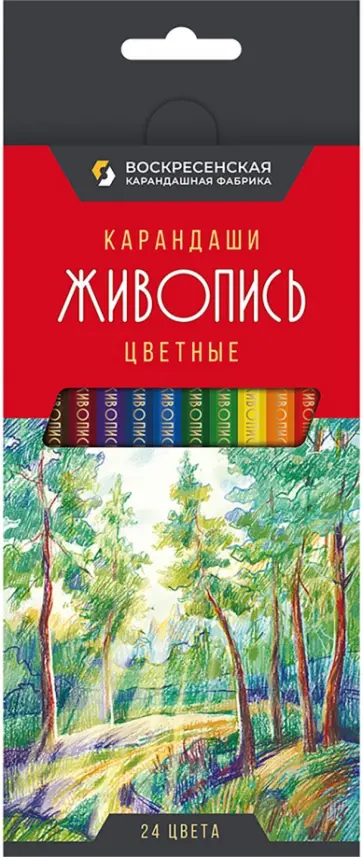 Карандаши цветные Живопись, 24 цвета Карандаши цветные Живопись, 24 цвета обложка книги