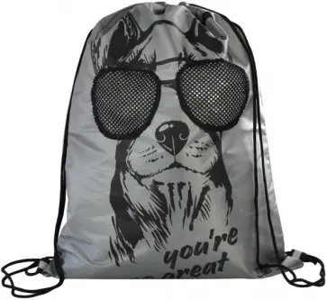 Мешок для сменной обуви Собака в очках обложка книги