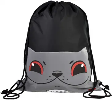 Мешок для сменной обуви Дерзкий кот обложка книги