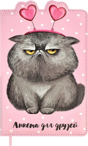 Анкета для друзей Котик обложка книги