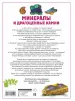Миниатюра 3