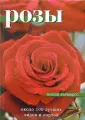 Харкнесс Филип