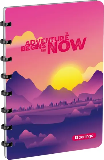 Бизнес-тетрадь Scenic, А5+, 80 листов, клетка обложка книги