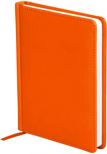 Ежедневник недатированный Winner, оранжевый, А6, 136 листов Ежедневник недатированный Winner, оранжевый, А6, 136 листов обложка книги