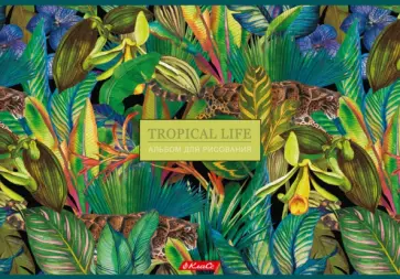 Альбом для рисования Джунгли зовут, 40 листов, в ассортименте Альбом для рисования Джунгли зовут, 40 листов, в ассортименте обложка книги