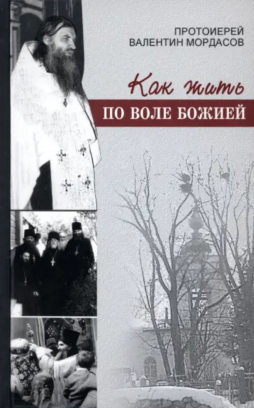 Валентин Мордасов - Как жить по воле Божией Валентин Мордасов - Как жить по воле Божией обложка книги