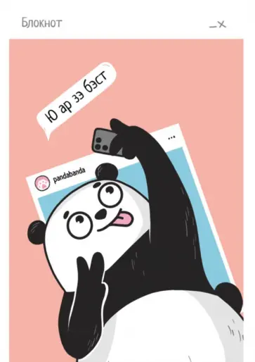 Блокнот Селфи-панда, А6, 40 листов, клетка обложка книги