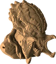 Бюст Хищник обложка книги