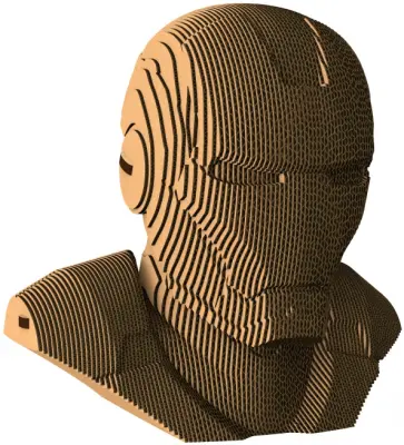 Бюст «Железный человек» обложка книги