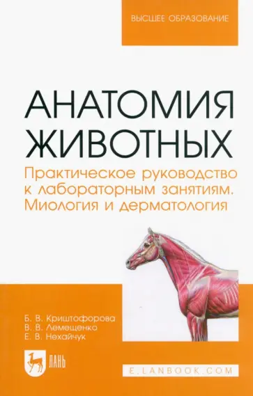 Криштофорова, Лемещенко - Анатомия животных. Практическое руководство к лабораторным занятиям. Миология и дерматология Криштофорова, Лемещенко - Анатомия животных. Практическое руководство к лабораторным занятиям. Миология и дерматология обложка книги