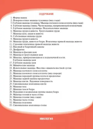 Анатомия женских половых органов - Центр лапароскопии в Москве