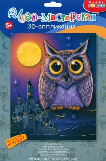 3D-аппликация. Сова обложка книги