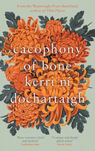 Dochartaigh ni - Cacophony of Bone Dochartaigh ni - Cacophony of Bone обложка книги