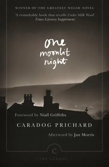 Caradog Prichard - One Moonlit Night Caradog Prichard - One Moonlit Night обложка книги