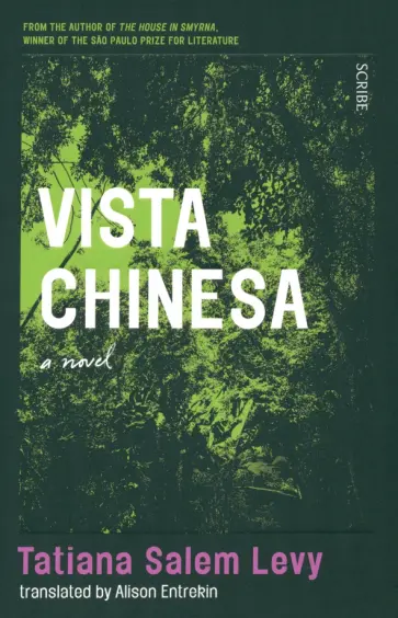 Levy Salem - Vista Chinesa Levy Salem - Vista Chinesa обложка книги